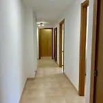 Algaida Ref.004 奥罗佩萨德尔马